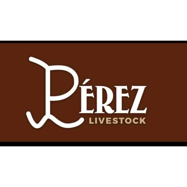 Custom Logo Metal Sign