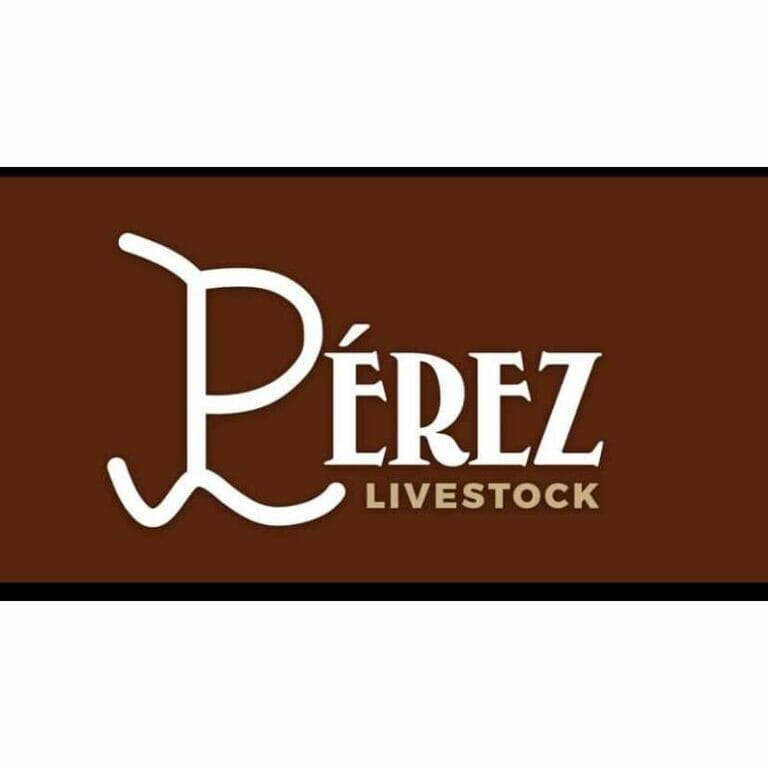 Custom Logo Metal Sign